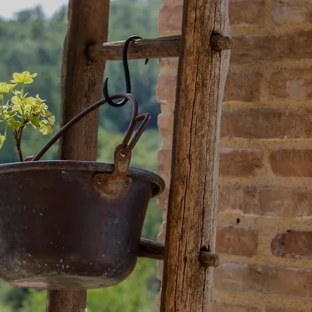 Διαμέρισμα Biohouse - Ai Due Gelsi Grancona