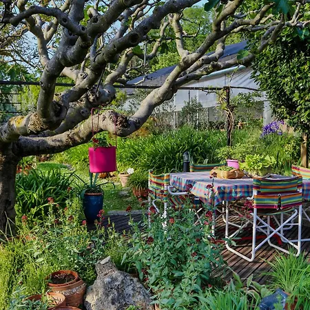 Biohouse - Ai Due Gelsi Grancona