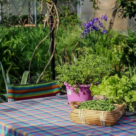 Διαμέρισμα Biohouse - Ai Due Gelsi Grancona