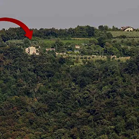 In Bioedilizia Con Bio Piscina Naturale - Ai Due Gelsi